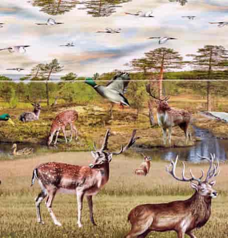 DEKORAMA CERATA NA WŁÓKNINIE szer140cm dł20mb 170A