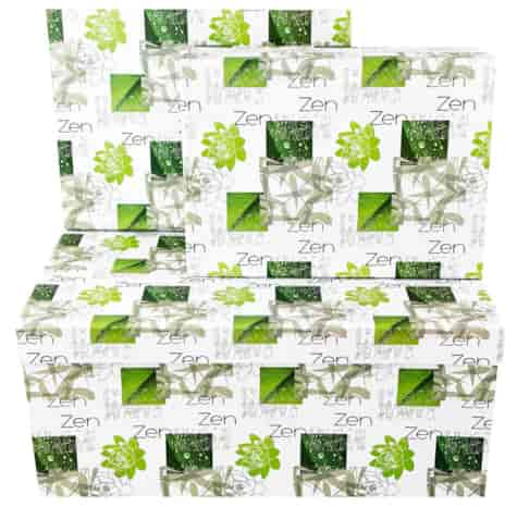 PUDEŁKO KARTONOWE PROSTOKĄT 10szt CBP10-63207