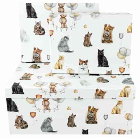 PUDEŁKO KARTONOWE PROSTOKĄT 10szt CBP10-63216