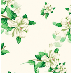 ANTALYA CERATA NA WŁÓKNINIE sz140cm d20m WF-5411A