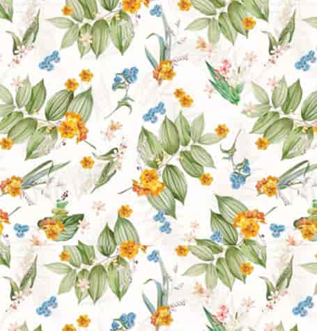 ANTALYA CERATA NA WŁÓKNINIE sz140cm d20m WF-6801A