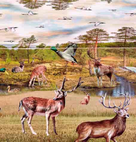 ANTALYA CERATA NA WŁÓKNINIE sz140cm d20m M-82231A