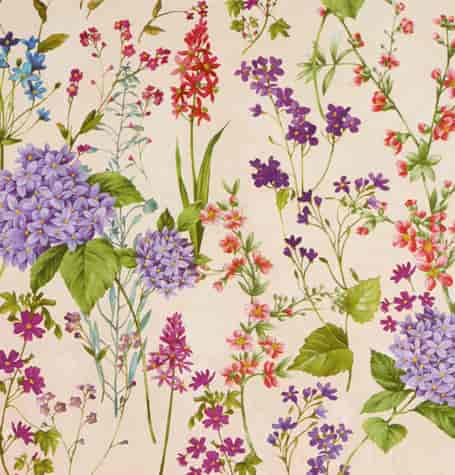 DEKORAMA CERATA NA WŁÓKNINIE szer140cm dł20mb 270A