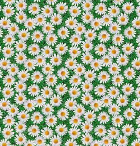 ANTALYA CERATA NA WŁÓKNINIE sz140cm d20m WF-6619A