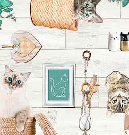 MODERNO CERATA NA WŁÓKNINIE 140cm dł20mb 06385.01