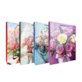 TOREBKA PREZENTOWA 18x8x21,5cm JUS-9281